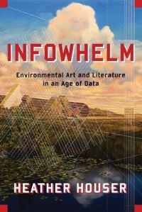 Book Cover for Infowhelm by Heather University of Texas at Austin Houser