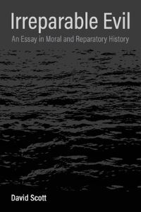 Book Cover for Irreparable Evil by David Scott