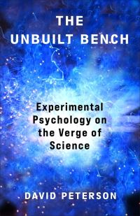 Book Cover for The Unbuilt Bench by David Peterson