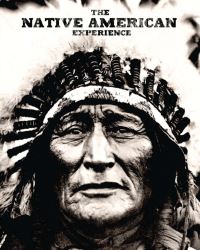 Book Cover for The Native American Experience by Jay Wertz