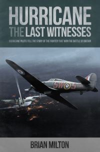 Book Cover for Hurricane by Brian Milton