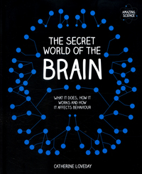 Book Cover for The Secret World of the Brain by Catherine Loveday