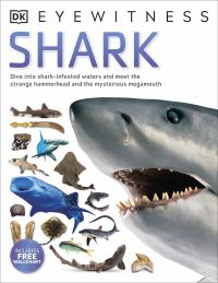 Book Cover for Shark by Miranda MacQuitty