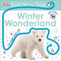 Book Cover for Winter Wonderland by Dawn Sirett