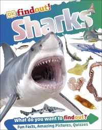 Book Cover for Sharks by Sarah Fowler