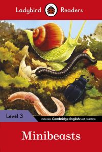 Book Cover for Minibeasts by 