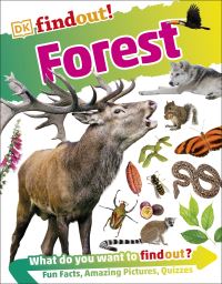 Book Cover for Forest by Cat Hickey