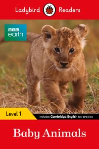 Book Cover for Baby Animals by 