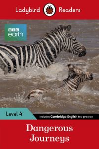 Book Cover for Dangerous Journeys by 