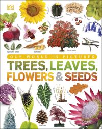 Book Cover for Trees, Leaves, Flowers & Seeds by 