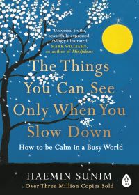 Book Cover for The Things You Can See Only When You Slow Down by Hyemin