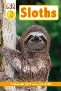 Book Cover for Sloths by Laura Buller