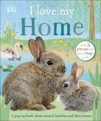 Book Cover for I Love My Home by Satu Fox