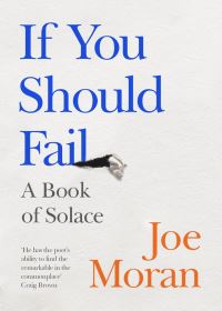 Book Cover for If You Should Fail by Joe Moran