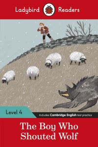 Book Cover for The Boy Who Shouted Wolf by Mary Taylor