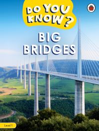 Book Cover for Big Bridges by Hannah Fish