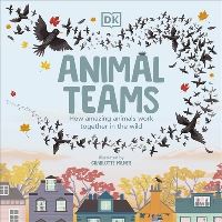 Book Cover for Animal Teams by Caroline Stamps