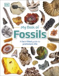 Book Cover for My Book of Fossils by Dean R Lomax