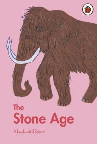 Book Cover for The Stone Age by Sidra Ansari, Chris FentonThomas