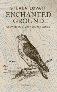 Book Cover for Enchanted Ground by Steven Lovatt