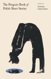 Book Cover for The Penguin Book of Polish Short Stories by Antonia LloydJones