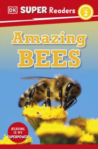 Book Cover for Amazing Bees by Sue Unstead