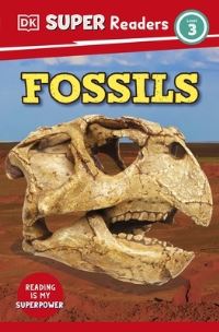 Book Cover for Fossils by Libby Romero