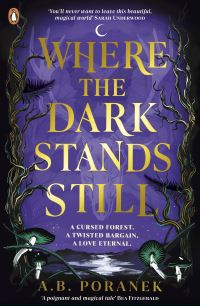 Book Cover for Where the Dark Stands Still by A B Poranek