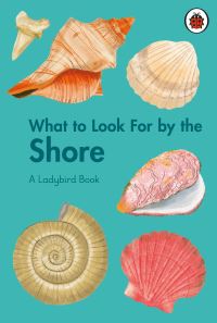 Book Cover for What to Look for by the Shore by Becky Brown