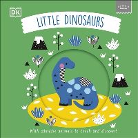 Book Cover for Little Dinosaurs by Rebecca Weerasekera