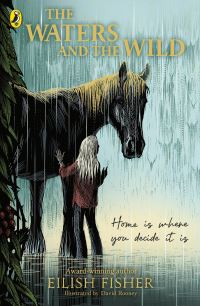 Book Cover for The Waters and the Wild by Eilish Fisher