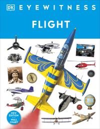 Book Cover for Flight by Andrew Nahum