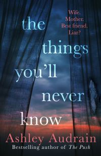 Book Cover for The Things You'll Never Know by Ashley Audrain