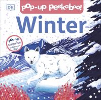 Book Cover for Winter by Maike Biederstädt