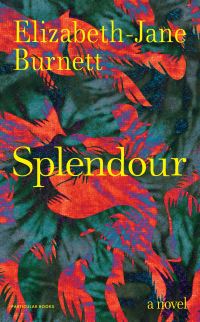 Book Cover for Splendour by ElizabethJane Burnett