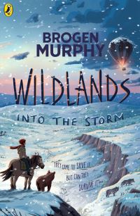 Book Cover for Into the Storm by Brogen Murphy