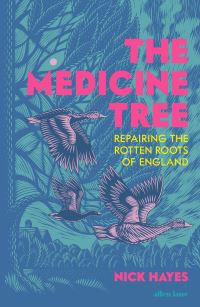 Book Cover for The Medicine Tree by Nick Hayes
