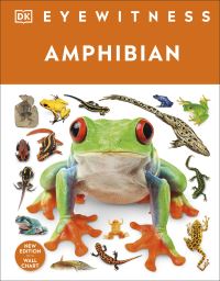 Book Cover for Amphibian by Barry Clarke