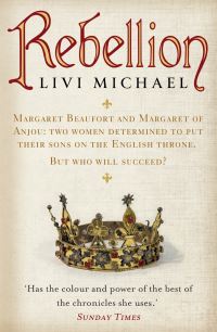 Book Cover for Rebellion by Livi Michael
