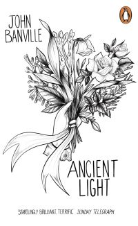 Book Cover for Ancient Light by John Banville