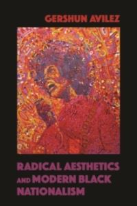 Book Cover for Radical Aesthetics and Modern Black Nationalism by GerShun Avilez