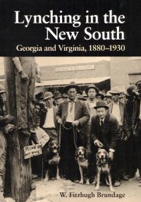 Book Cover for Lynching in the New South by W Fitzhugh Brundage