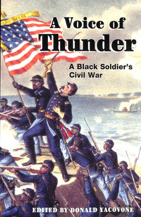 Book Cover for A Voice of Thunder by George E Stephens