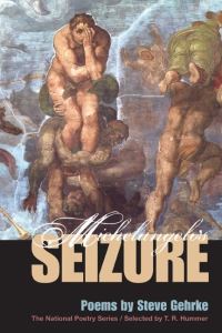 Book Cover for Michelangelo's Seizure by Steve Gehrke