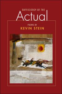 Book Cover for Sufficiency of the Actual by Kevin Stein