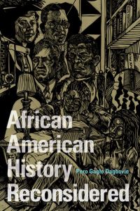 Book Cover for African American History Reconsidered by Pero Gaglo Dagbovie
