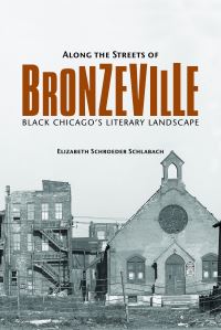 Book Cover for Along the Streets of Bronzeville by Elizabeth Schroeder Schlabach