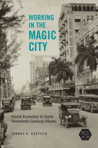 Book Cover for Working in the Magic City by Thomas A Castillo