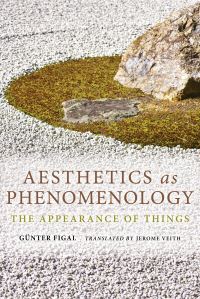 Book Cover for Aesthetics as Phenomenology by Günter Figal