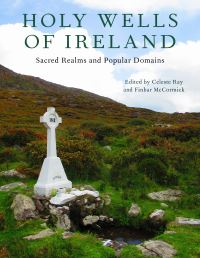 Book Cover for Holy Wells of Ireland by R Celeste Ray, Finbar McCormick